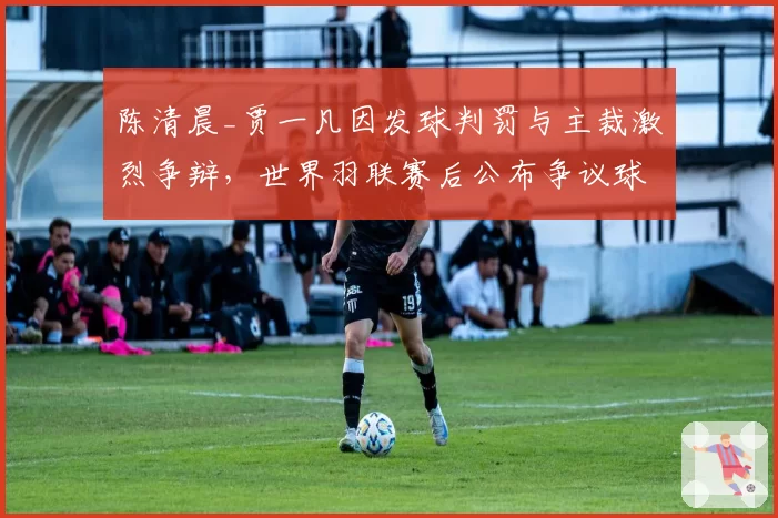陈清晨_贾一凡因发球判罚与主裁激烈争辩，世界羽联赛后公布争议球热力图