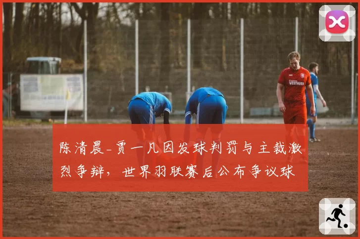 陈清晨_贾一凡因发球判罚与主裁激烈争辩，世界羽联赛后公布争议球热力图